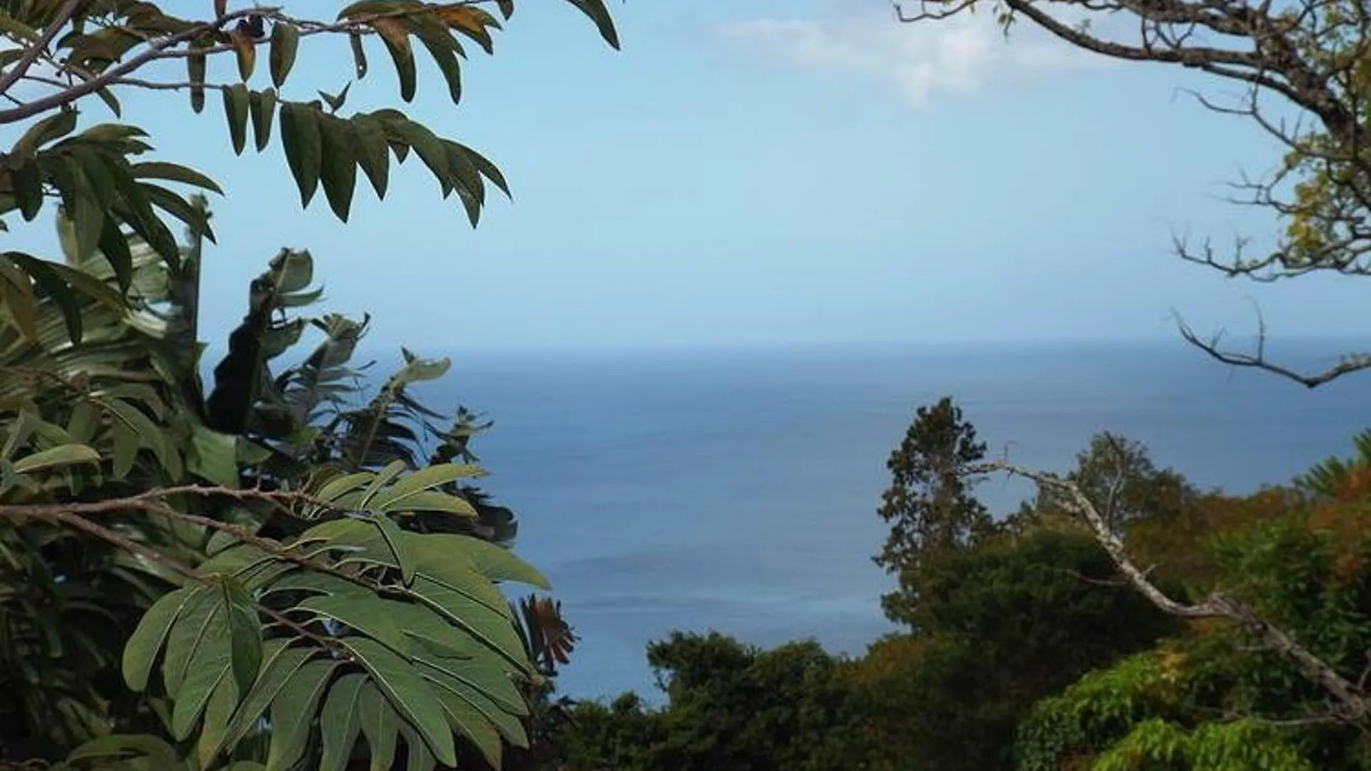 Villa With 2 Bedrooms In Pointe Noire, With Wonderful Sea View, Privat 0*, Pointe-Noire Guadeloupe